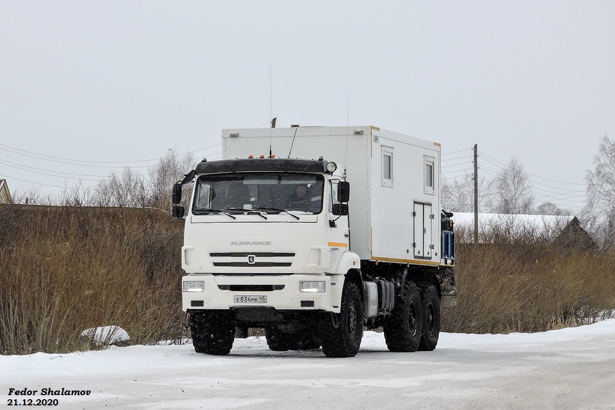 Курганская область, № Е 834 МК 45 — КамАЗ-43118-50