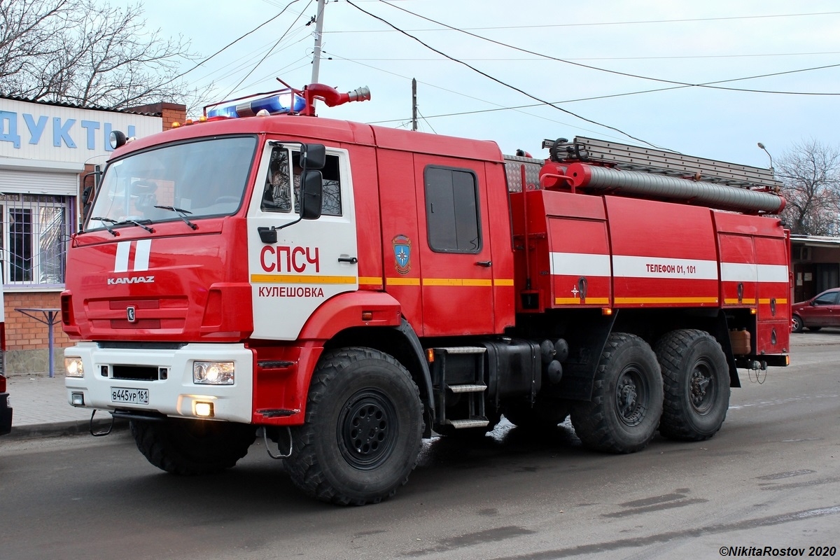 Ростовская область, № В 445 УР 161 — КамАЗ-43118-46