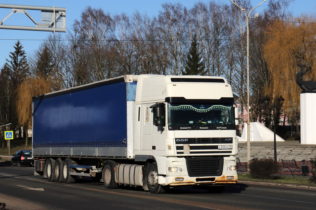 Калининградская область, № С 205 ЕА 39 — DAF XF95 FT