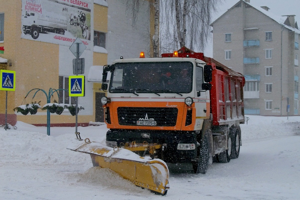 Могилёвская область, № АЕ 7375-6 — МАЗ-6501 (общая модель)