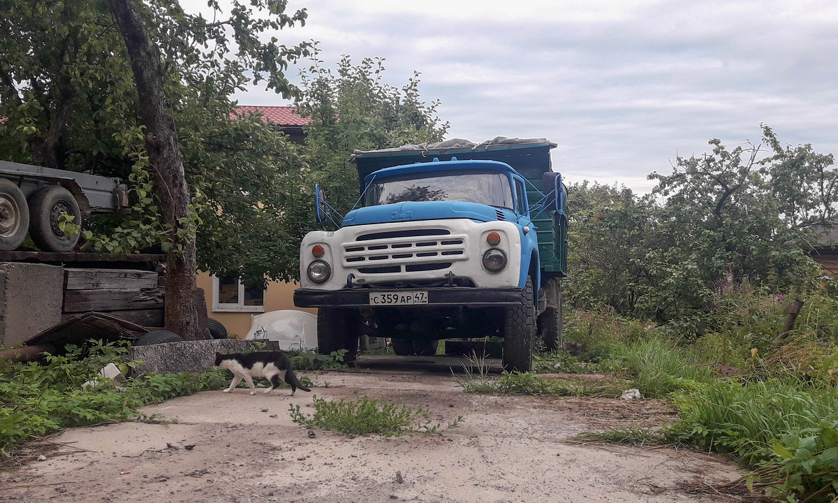 Ленинградская область, № С 359 АР 47 — ЗИЛ-495810