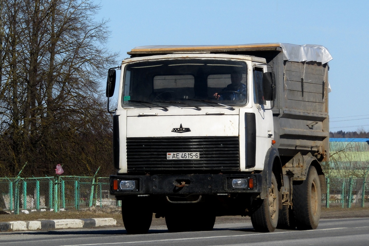 Могилёвская область, № АЕ 4615-6 — МАЗ-5551 (общая модель)