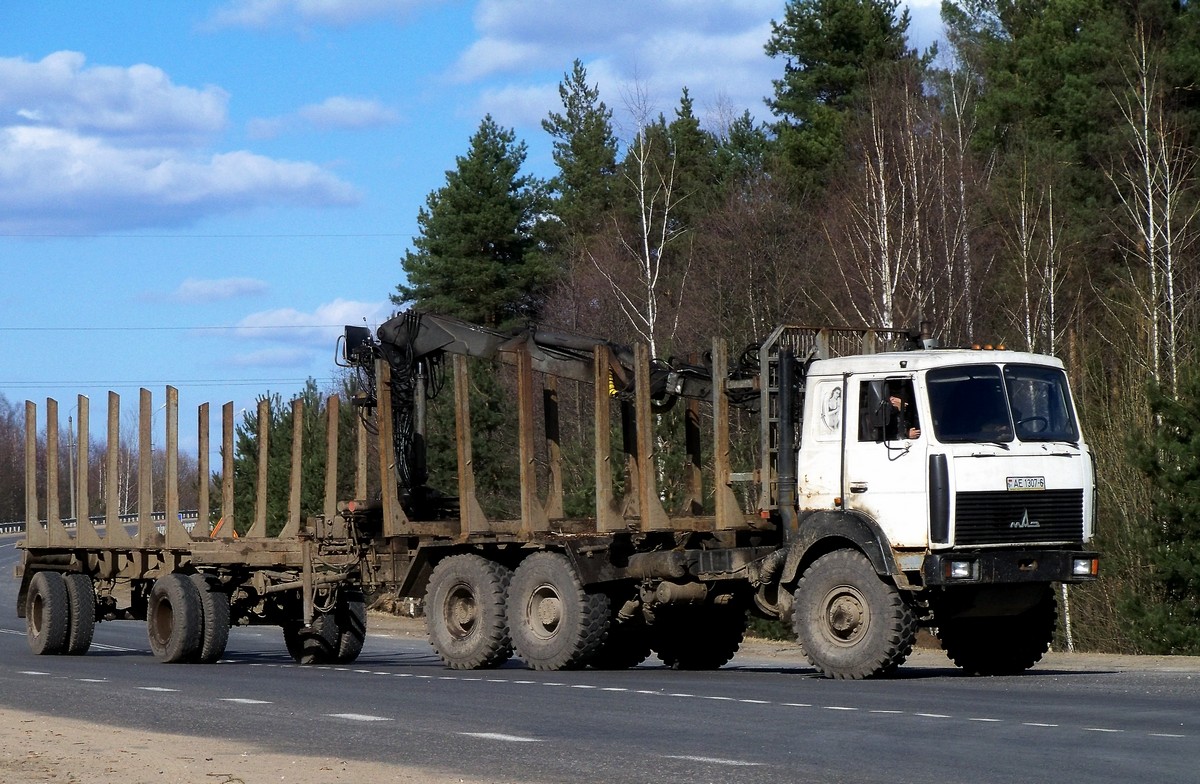 Могилёвская область, № АЕ 1307-6 — МАЗ-6317 (общая модель)