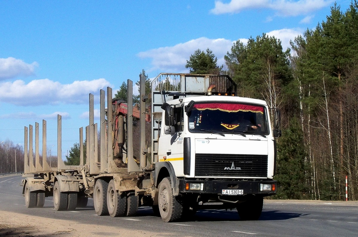 Могилёвская область, № АІ 5303-6 — МАЗ-6303 (общая модель)