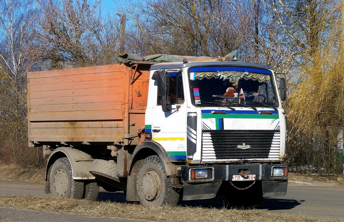 Могилёвская область, № ТВ 5066 — МАЗ-5551 (общая модель)