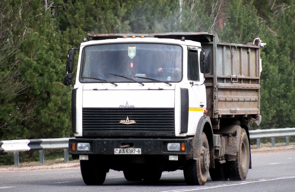 Могилёвская область, № АА 6387-6 — МАЗ-5551 (общая модель)