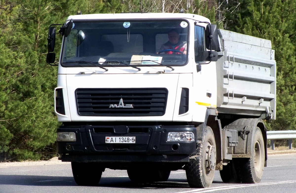 Могилёвская область, № АІ 1348-6 — МАЗ-5550 (общая модель)