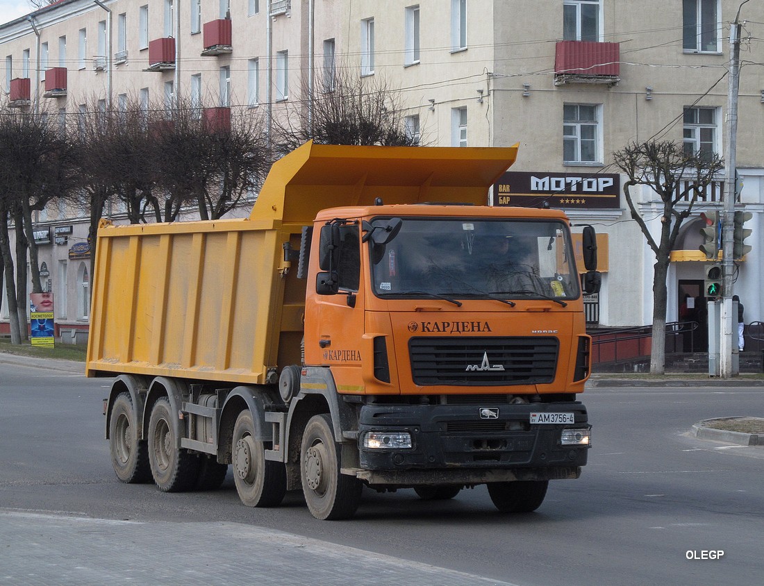 Гродненская область, № АМ 3756-4 — МАЗ-6516 (общая модель)