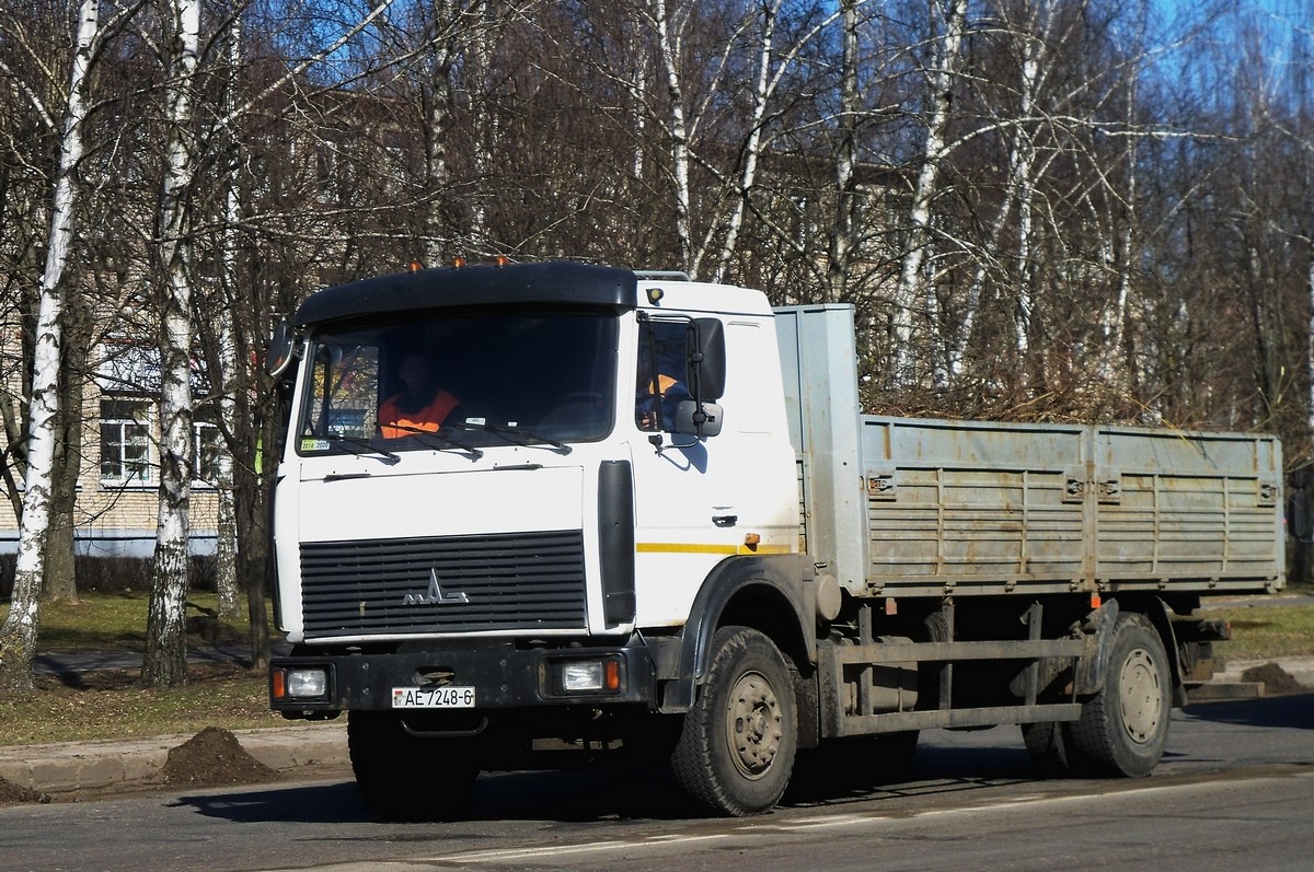 Могилёвская область, № АЕ 7248-6 — МАЗ-5336 (общая модель)