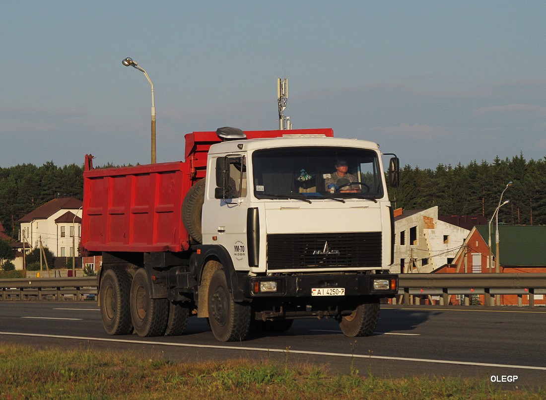 Минск, № АІ 4250-7 — МАЗ-5516 (общая модель)