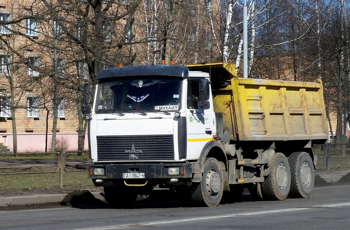 Могилёвская область, № АІ 0842-6 — МАЗ-5516 (общая модель)