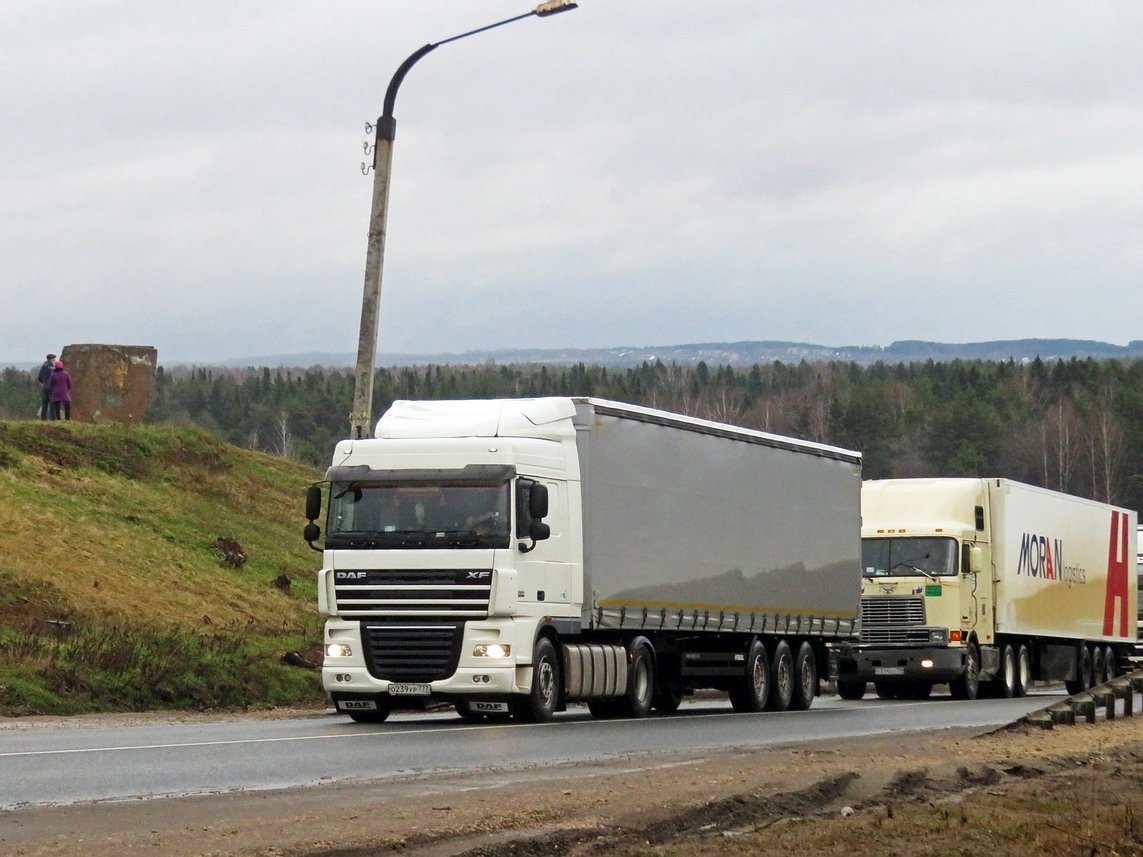 Москва, № О 239 УР 777 — DAF XF105 FT