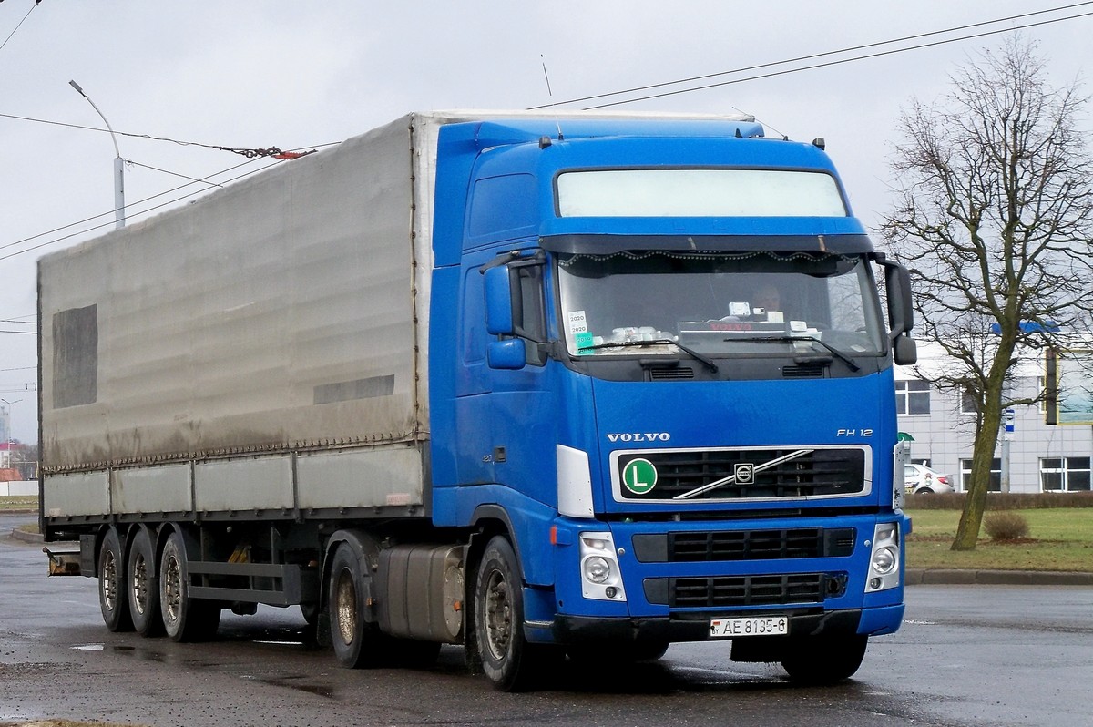 Могилёвская область, № АЕ 8135-6 — Volvo ('2002) FH12.420