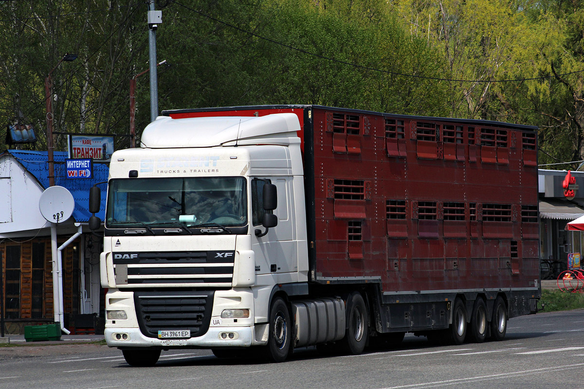 Одесская область, № ВН 3961 ЕР — DAF XF105 FT