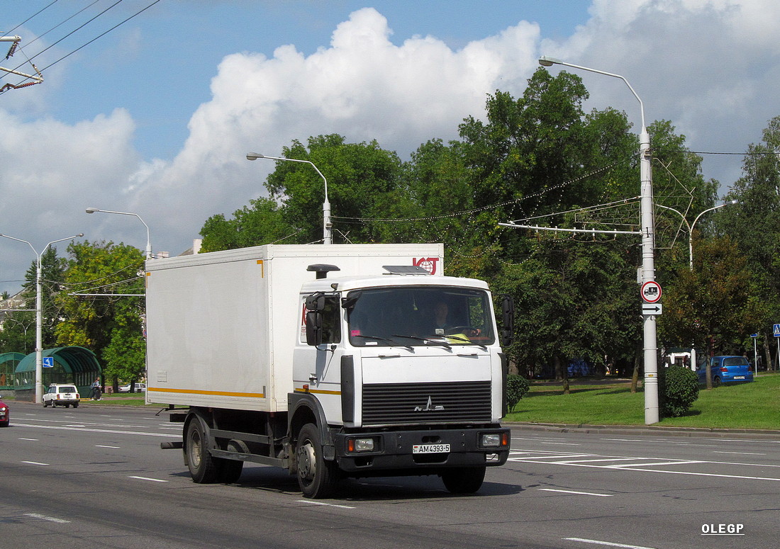 Минская область, № АМ 4393-5 — МАЗ-5336 (общая модель)