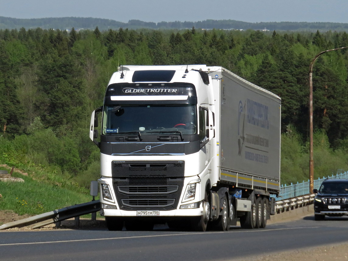 Московская область, № М 795 ТМ 750 — Volvo ('2012) FH.460 [X9P]