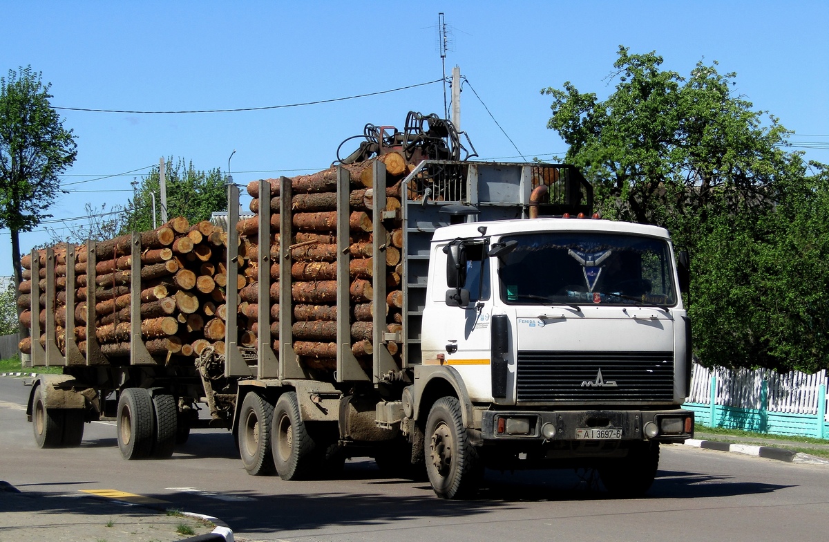 Могилёвская область, № АІ 3697-6 — МАЗ-6303 (общая модель)