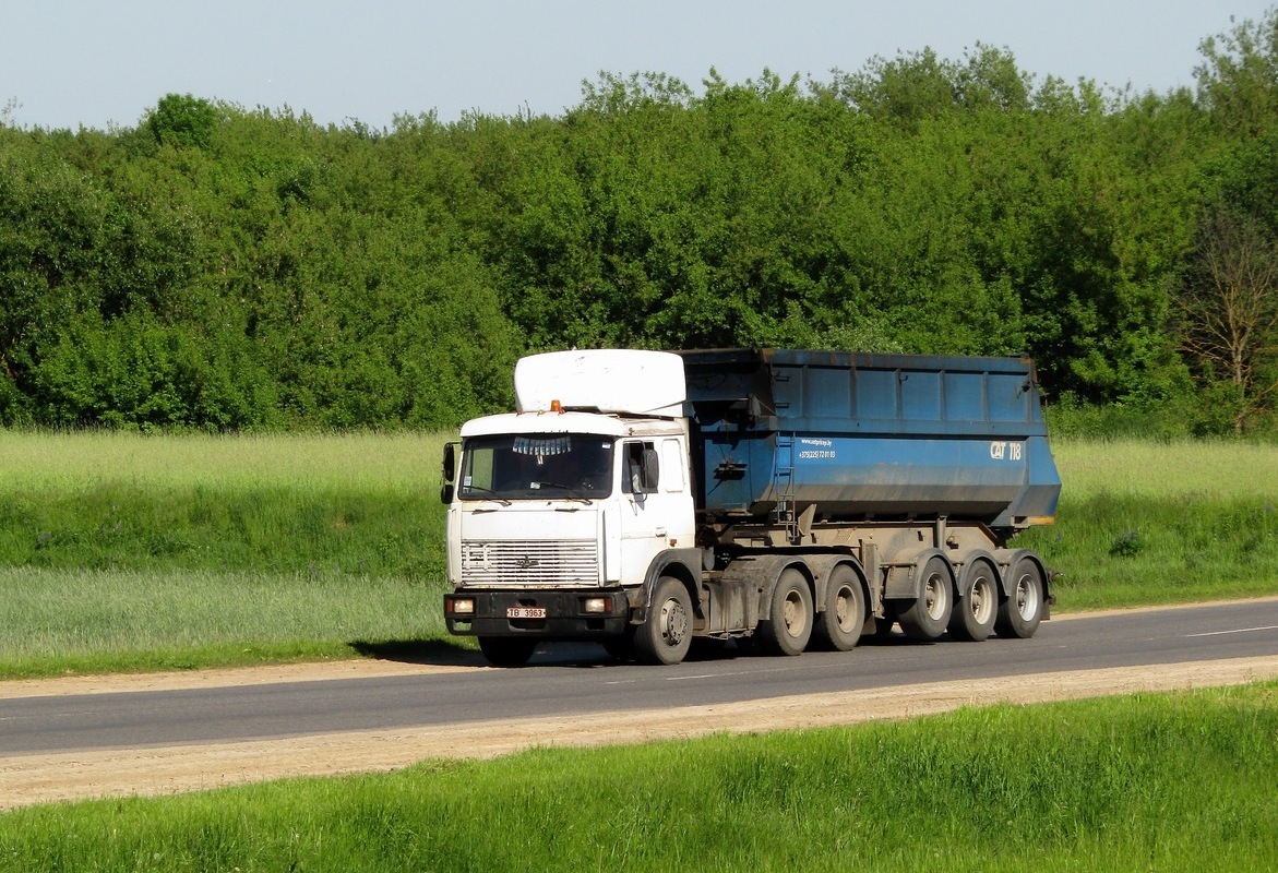 Могилёвская область, № ТВ 3963 — МАЗ-6422 (общая модель); Могилёвская область, № А 9551 А-6 —  Прочие модели