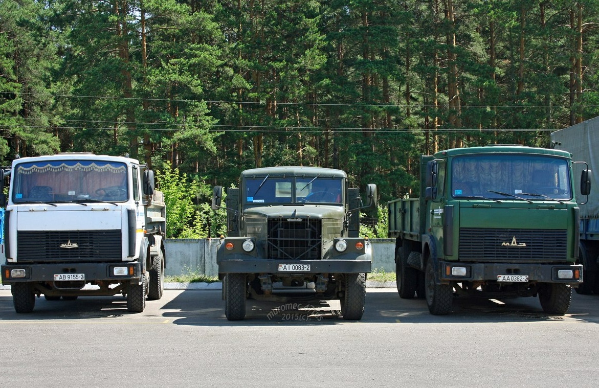 Витебская область, № АВ 9155-2 — МАЗ-5551 (общая модель); Витебская область, № АІ 0083-2 — КрАЗ-257Б1; Витебская область, № АА 0382-2 — МАЗ-5336 (общая модель)