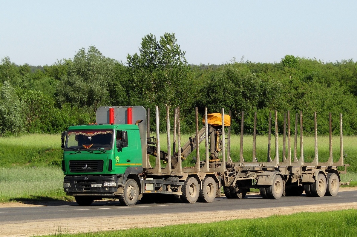 Могилёвская область, № АІ 9811-6 — МАЗ-6312 (общая модель)