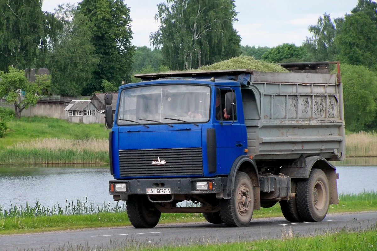 Могилёвская область, № АІ 6077-6 — МАЗ-5551 (общая модель)