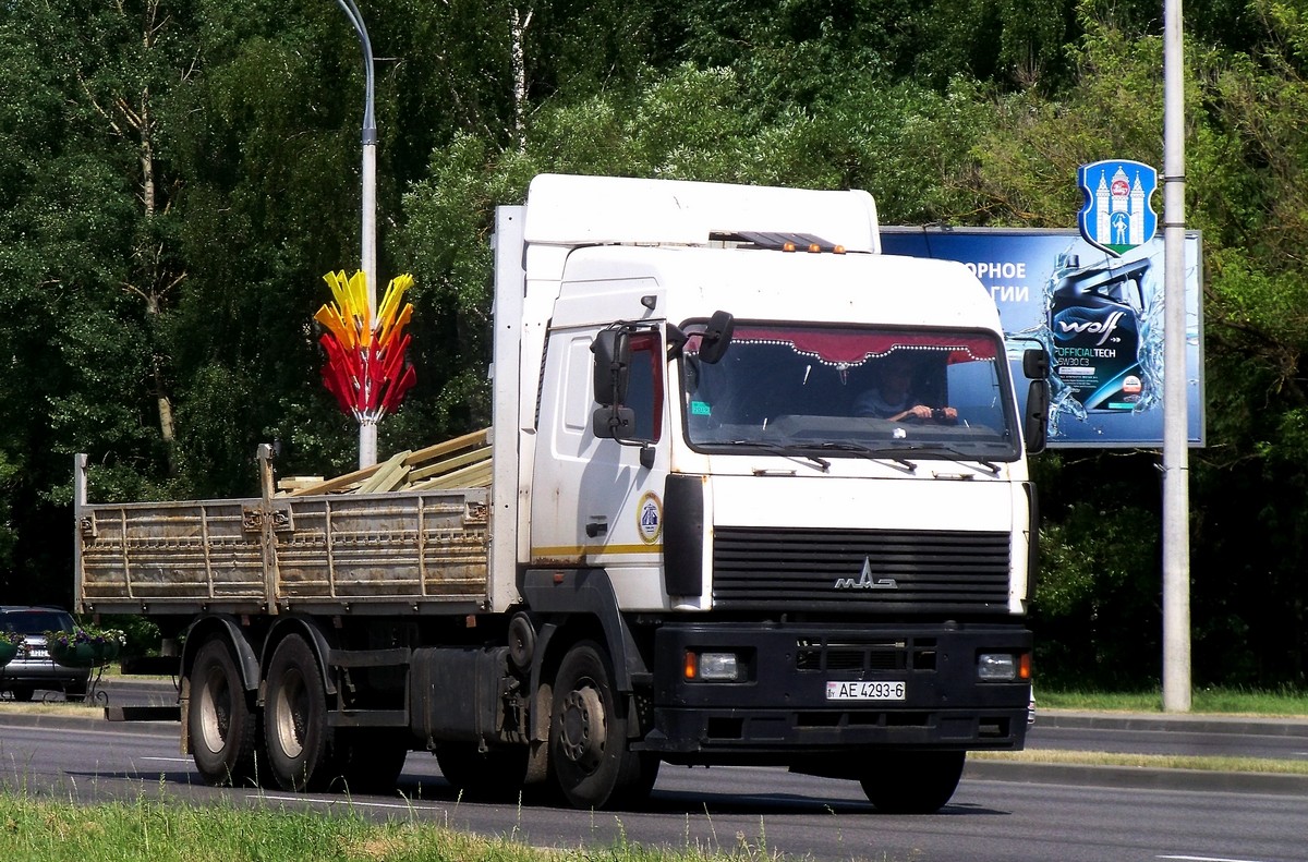 Могилёвская область, № АЕ 4293-6 — МАЗ-6312 (общая модель)