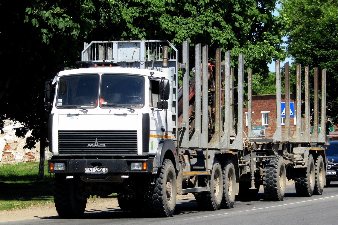 Могилёвская область, № АІ 6250-6 — МАЗ-6317 (общая модель)