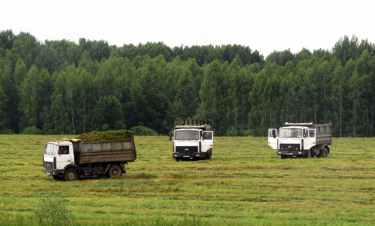 Могилёвская область — Разные фотографии (Автомобили)