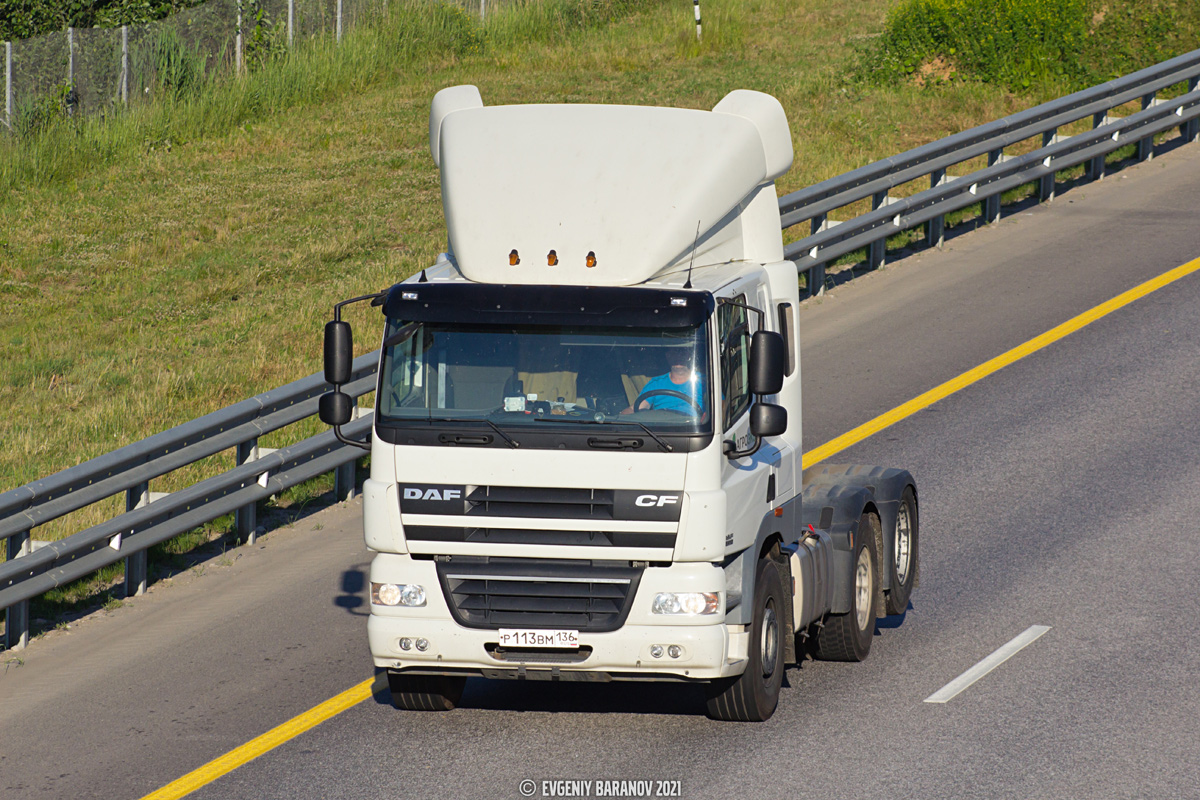 Воронежская область, № Р 113 ВМ 136 — DAF CF65/75/85 (общая модель)