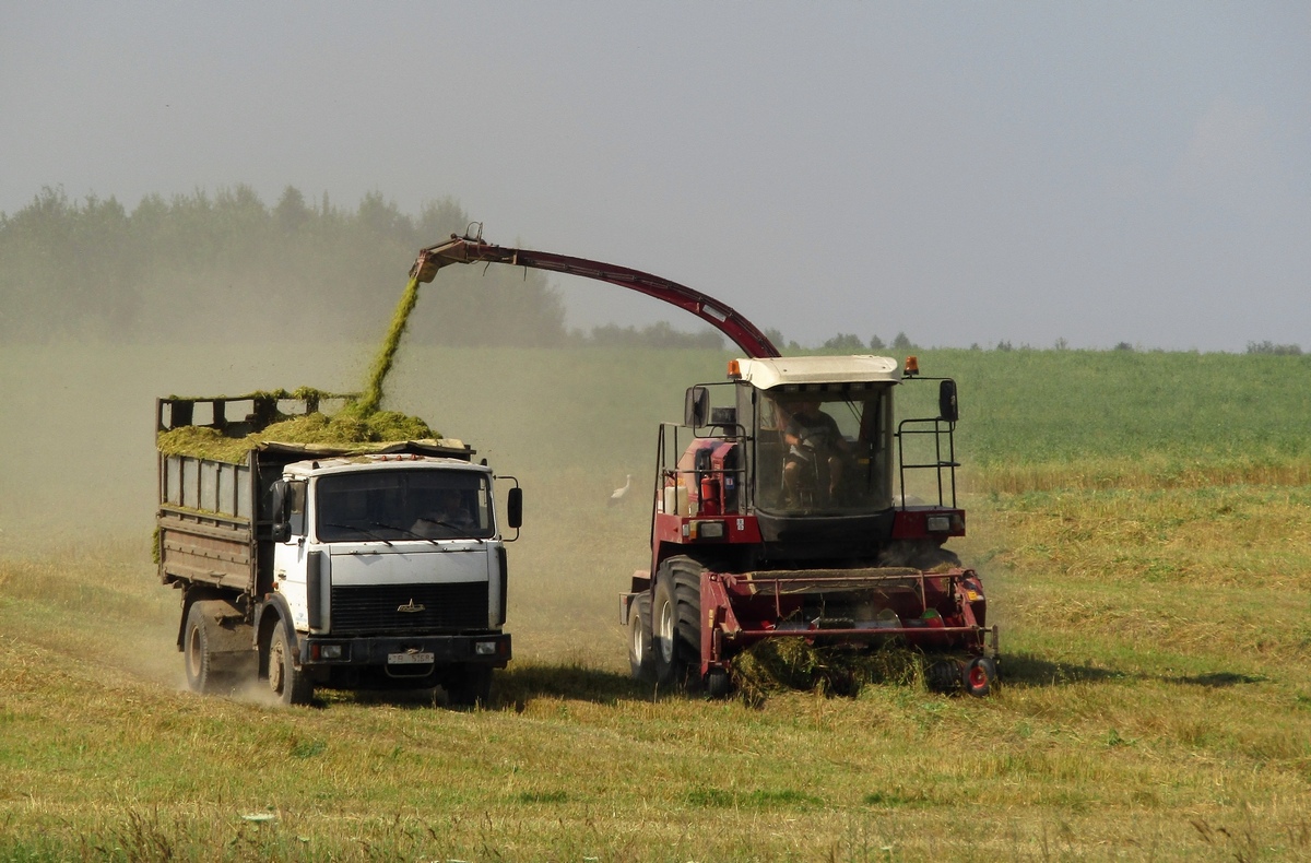 Могилёвская область, № ТВ 5168 — МАЗ-5551 (общая модель)