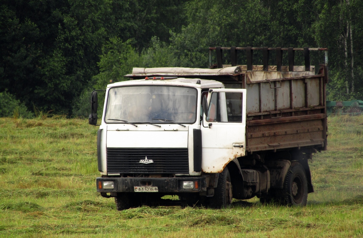 Могилёвская область, № АА 6236-6 — МАЗ-5551 (общая модель)