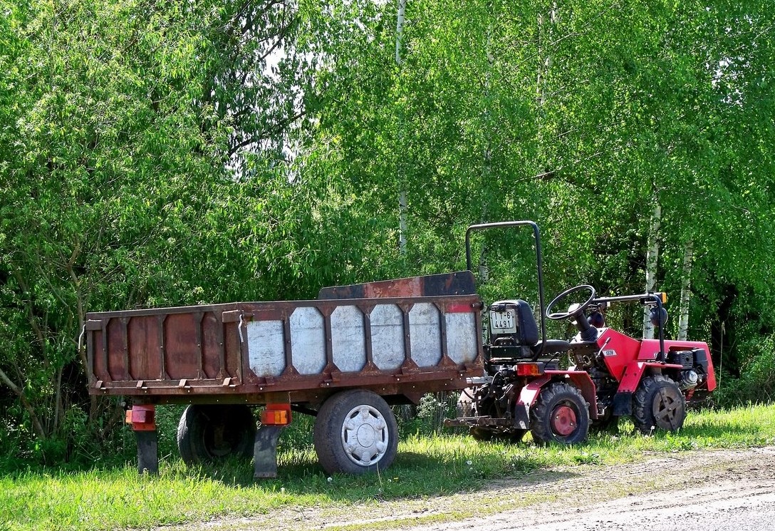 Могилёвская область, № IT-6 4491 — МТЗ (общая модель)