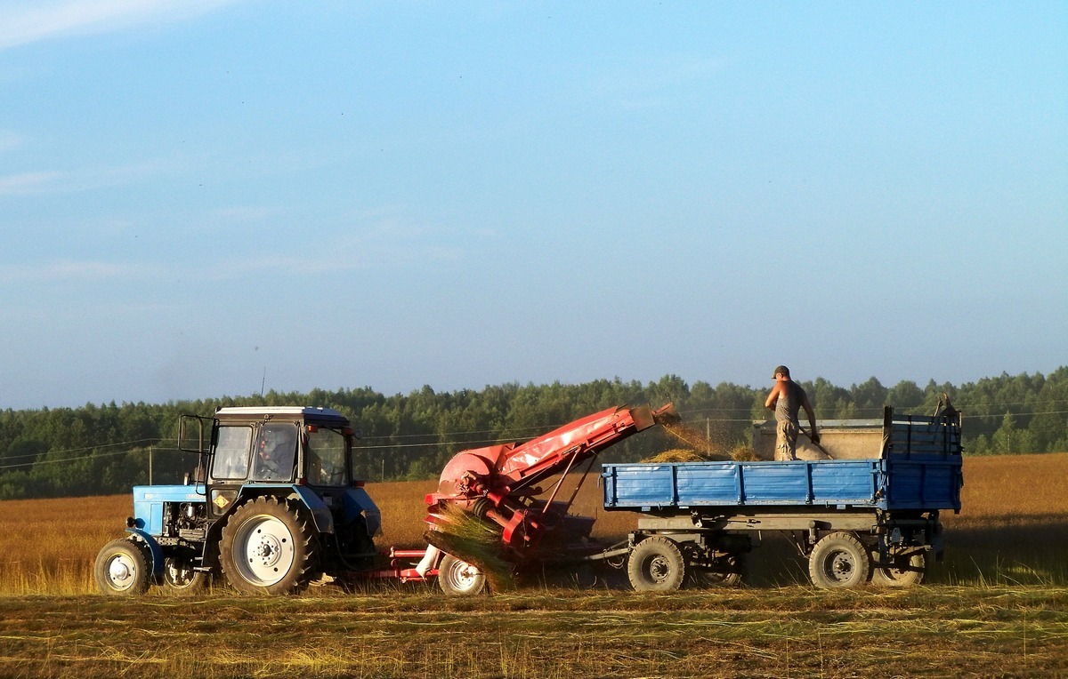 Могилёвская область, № ТА-6 4738 — Беларус-82.1; Прицепы сельскохозяйственные — Перегружатели (общая)