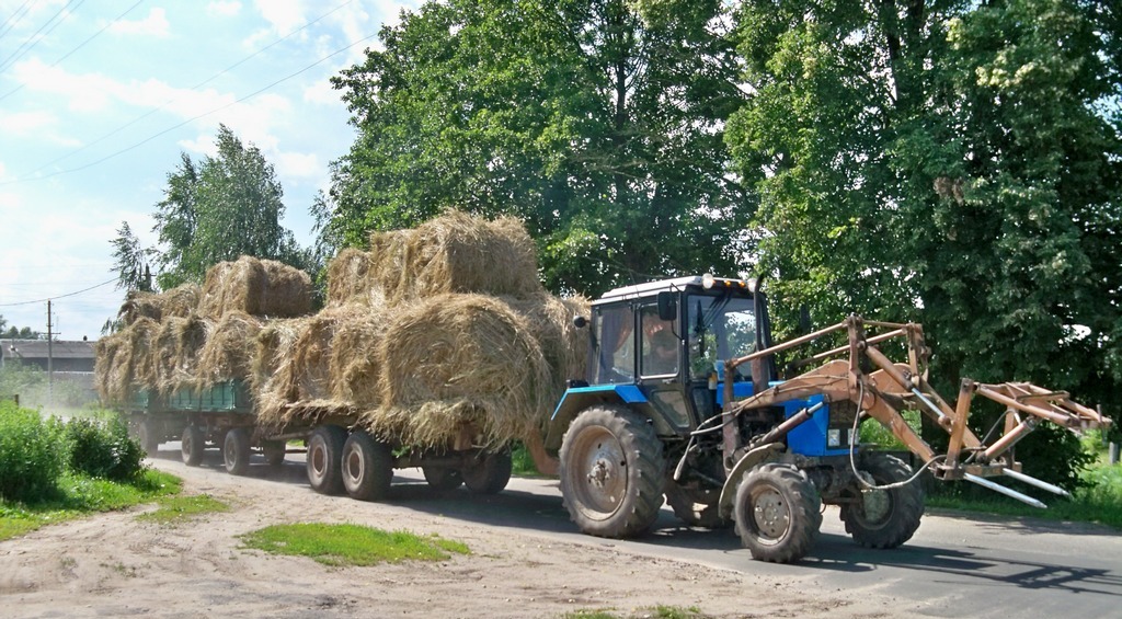 Могилёвская область, № ТА-6 7281 — Беларус-82.1