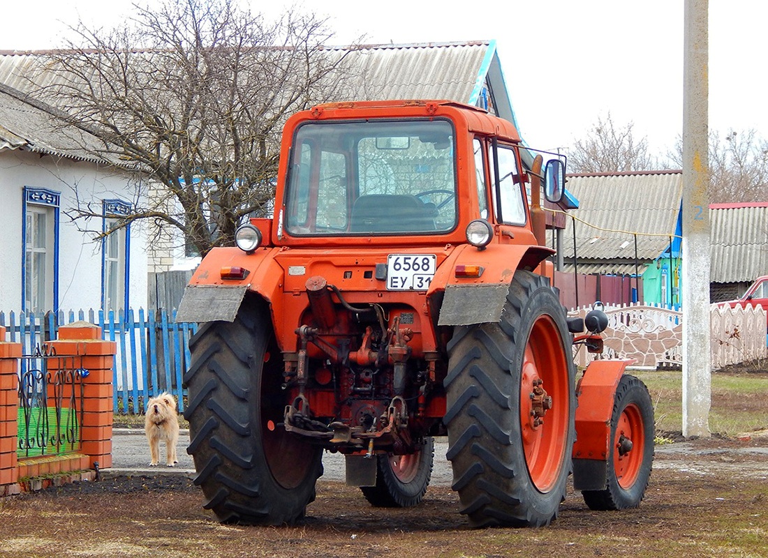 Белгородская область, № 6568 ЕУ 31 — МТЗ-80