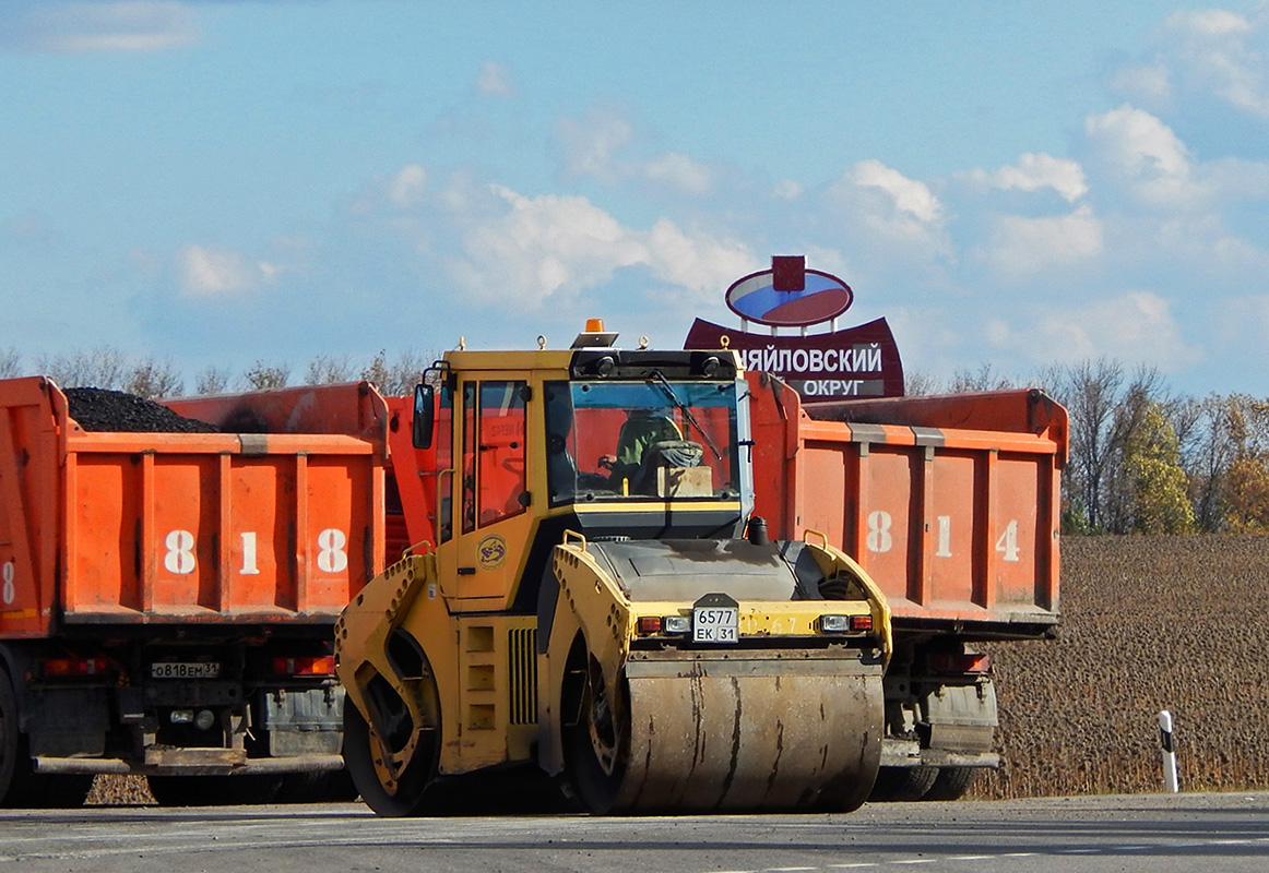 Белгородская область, № 6577 ЕК 31 — Bomag BW 161 AD