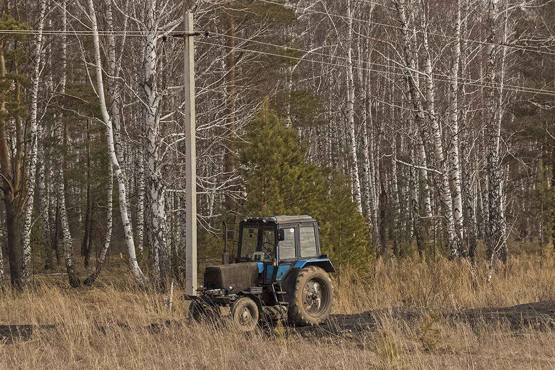 Алтайский край, № 2776 МА 22 — Беларус-80.1