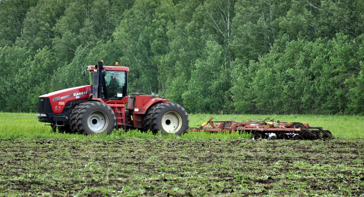 Рязанская область, № 55 — Case IH Steiger (общая модель)