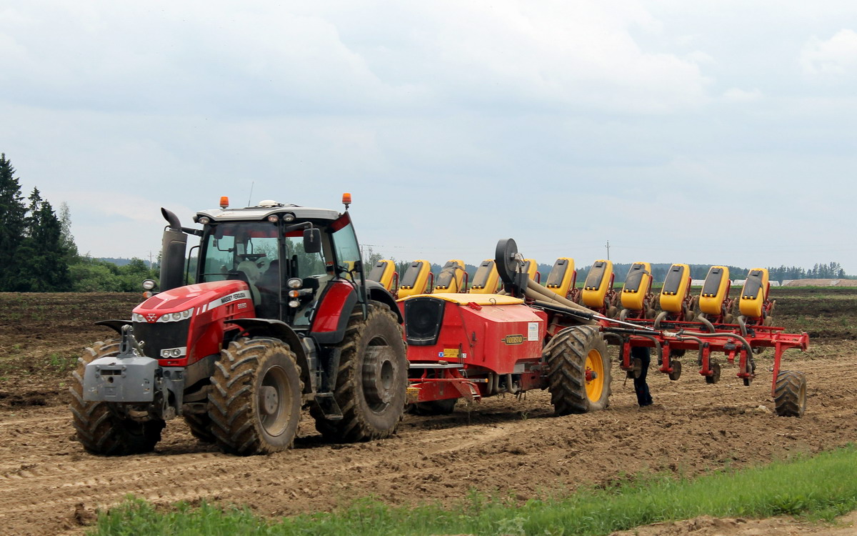 Могилёвская область, № (BY-6) Б/Н СТ 0054 — Massey Ferguson (общая модель); Прицепы сельскохозяйственные — Посевные комплексы (общая)