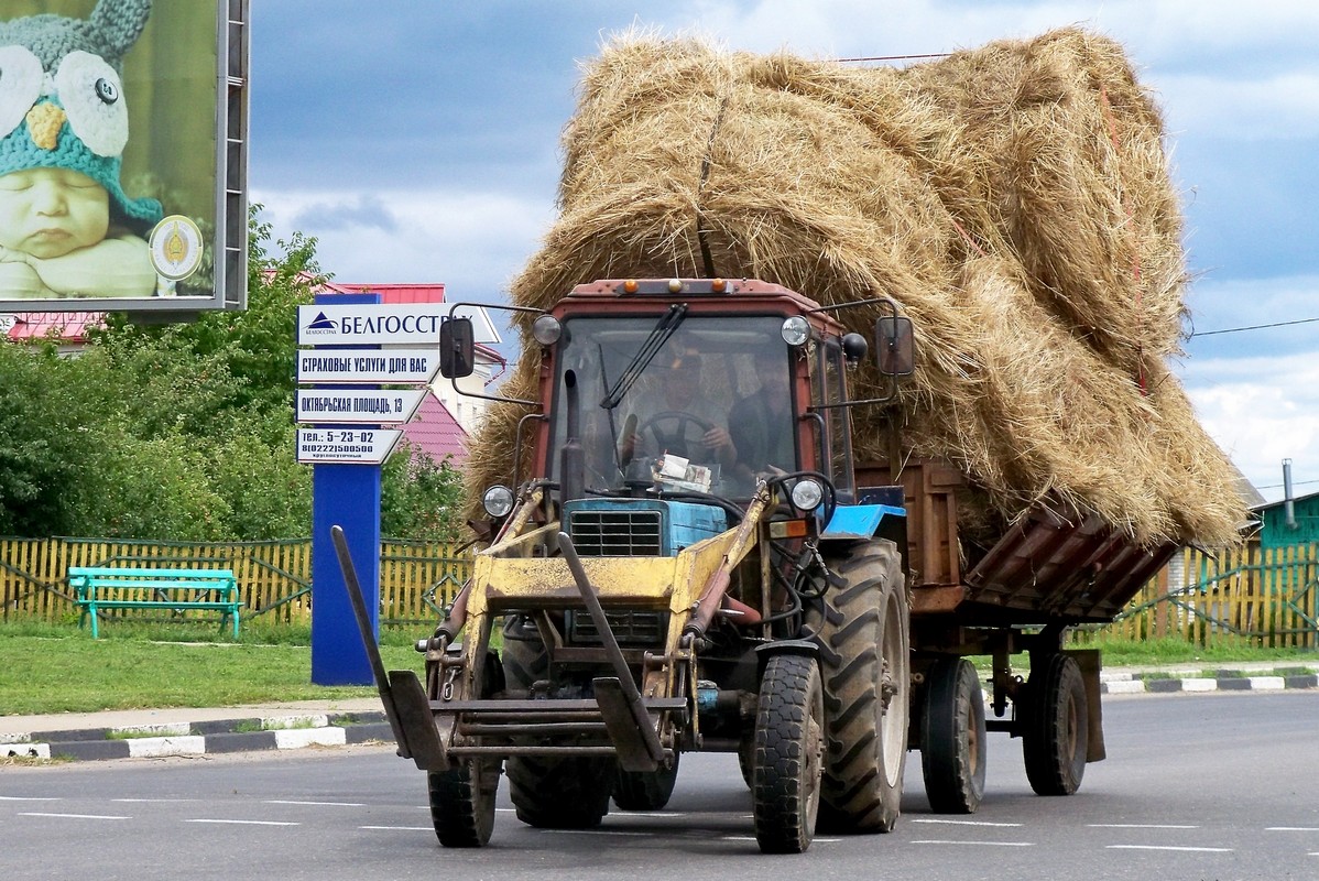 Могилёвская область, № IТ 1738 — МТЗ-82