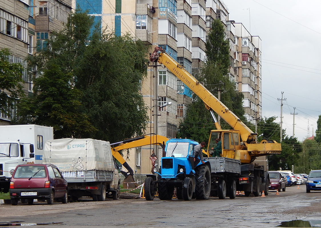 Белгородская область, № 3403 ЕТ 31 — МТЗ-82