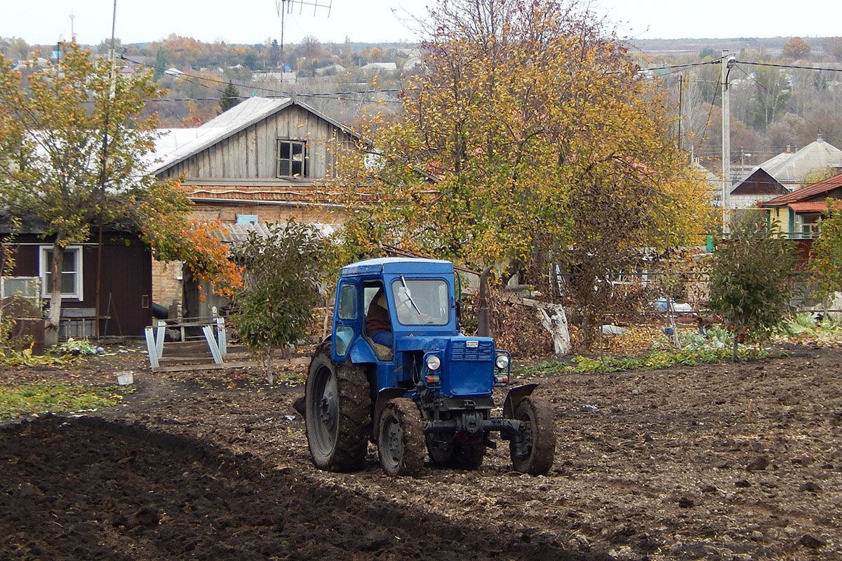 Белгородская область, № (31) Б/Н СТ 0084 — Т-40АМ