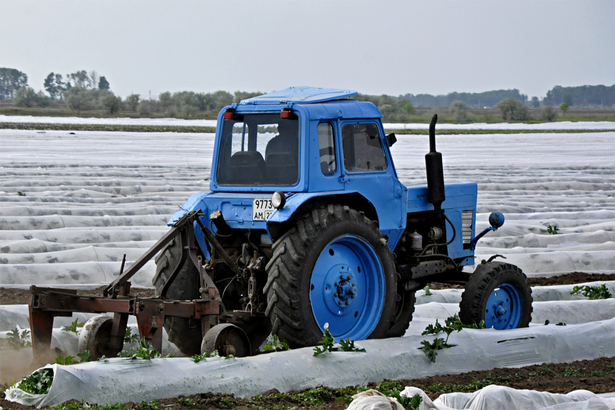 Алтайский край, № 9773 АМ 22 — МТЗ-80