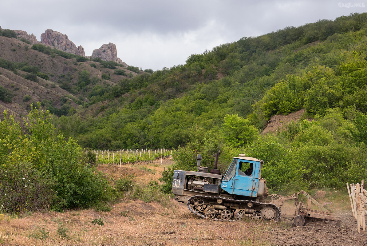 Крым, № 33 — Т-150-09