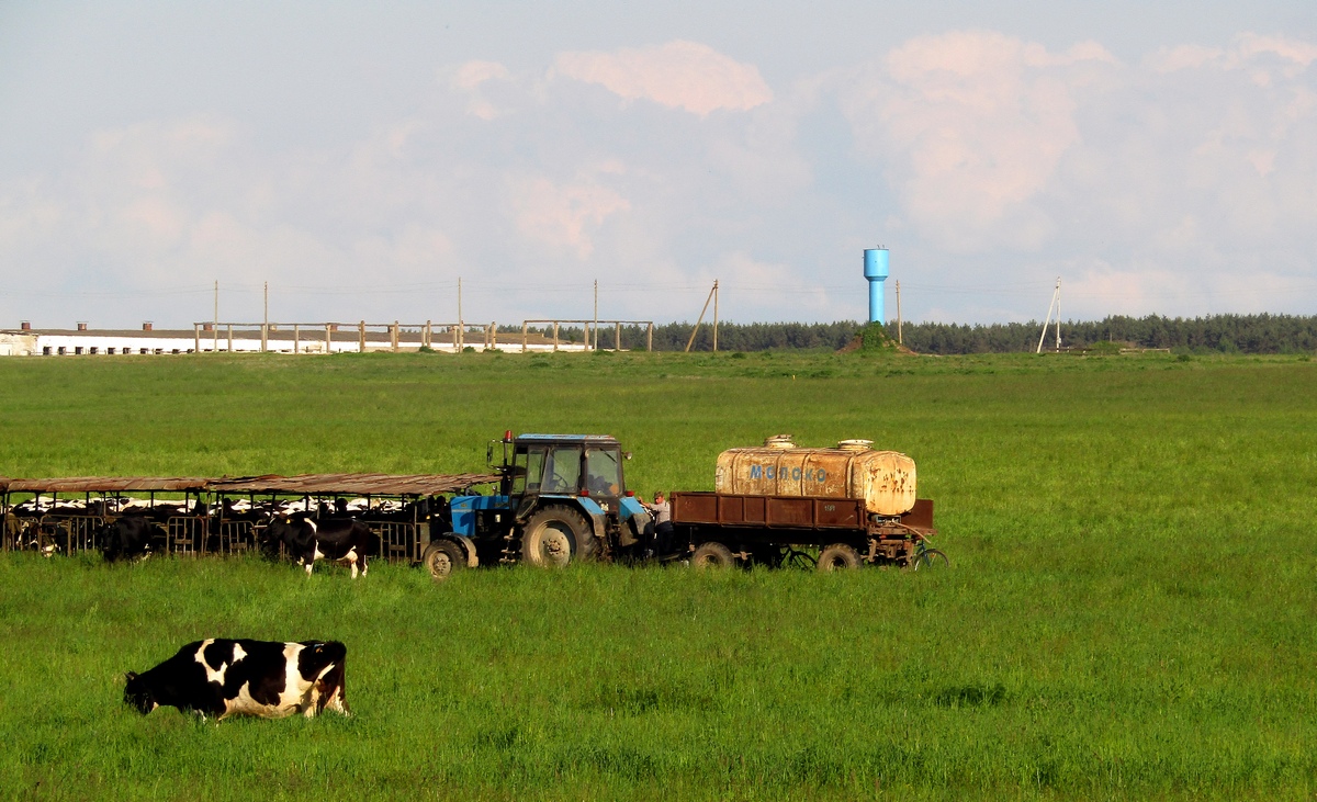 Могилёвская область, № IВ-6 3564 — Беларус-82.1