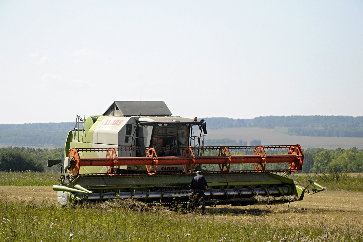 Кемеровская область, № (42) Б/Н СТ 0031 — Claas Tucano 580