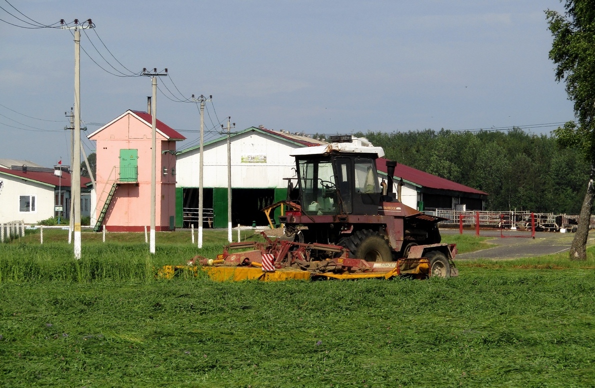 Могилёвская область, № (BY-6) Б/Н СТ 0086 — УЭС Полесье (общая модель)