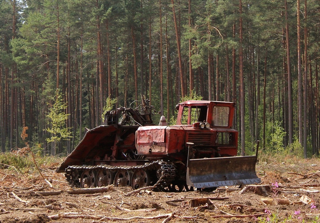 Псковская область, № (60) Б/Н СТ 0015 — ТДТ-55