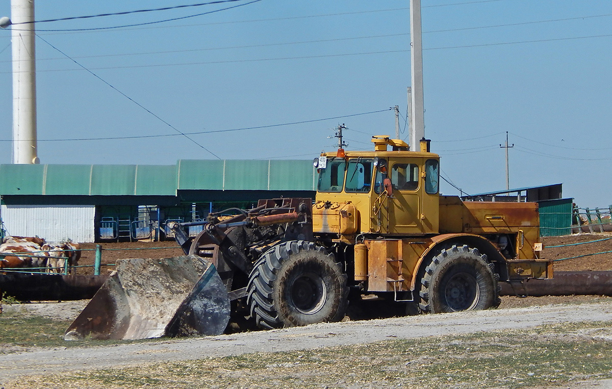 Белгородская область, № 4030 ЕМ 31 — К-700А, К-701