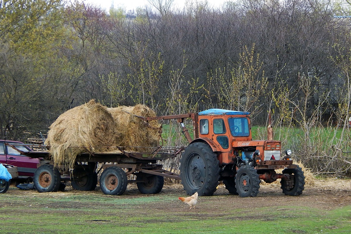 Белгородская область, № (31) Б/Н СТ 0125 — Т-40АМ